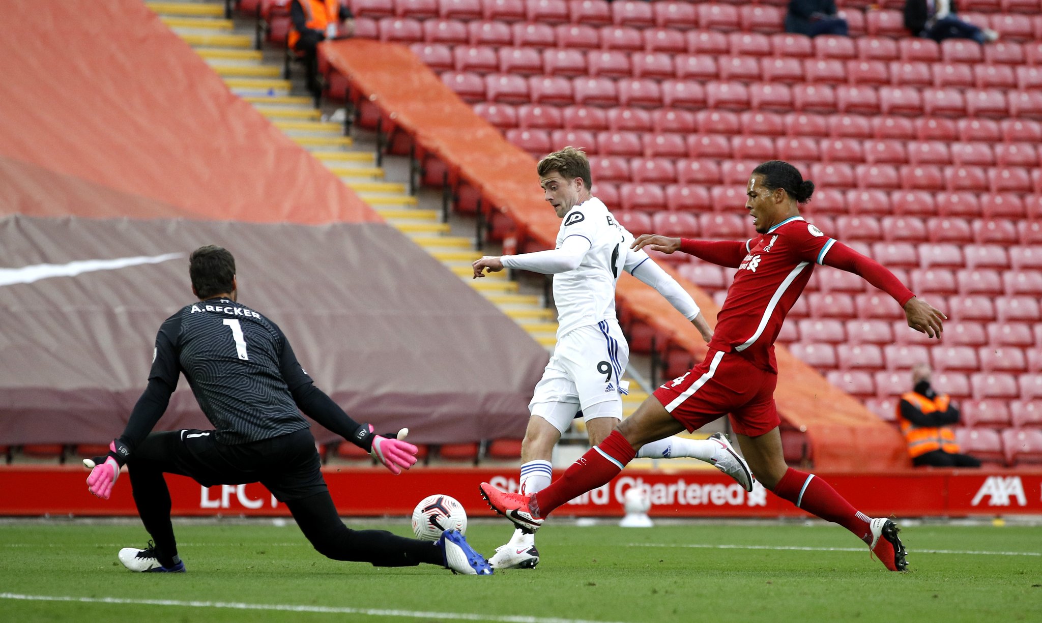 所以能够长 所以能够长